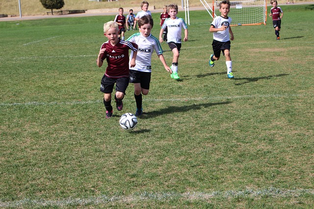 对手的防线 对手的防线