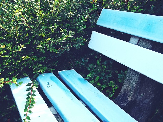 网络上获得 网络上获得