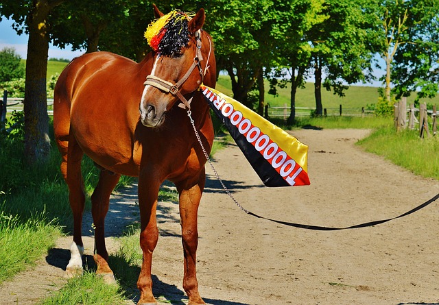 哈恰图良 哈恰图良