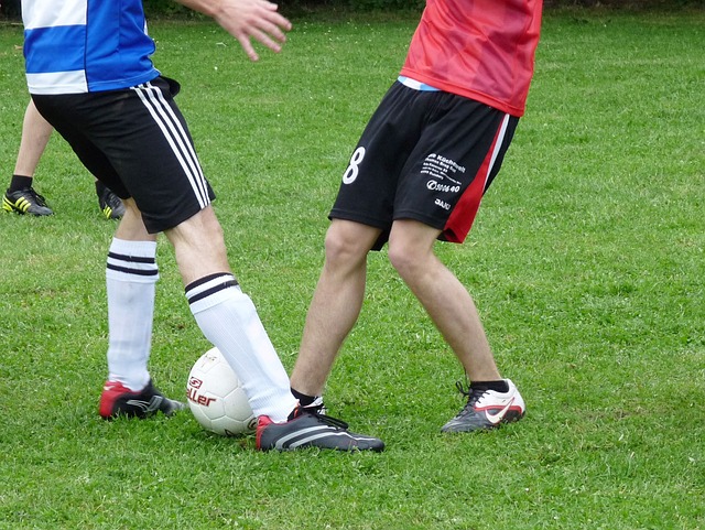 这预示着未 这预示着未