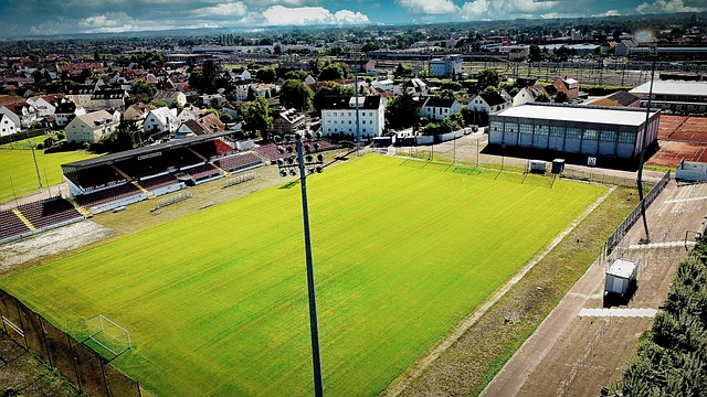 占据了他思 占据了他思